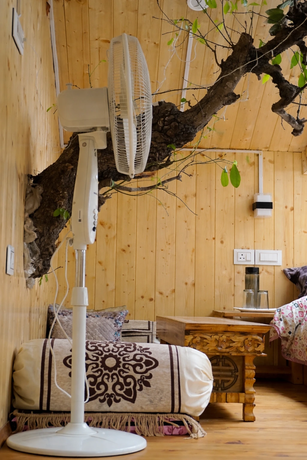 sukoon treehouse images 