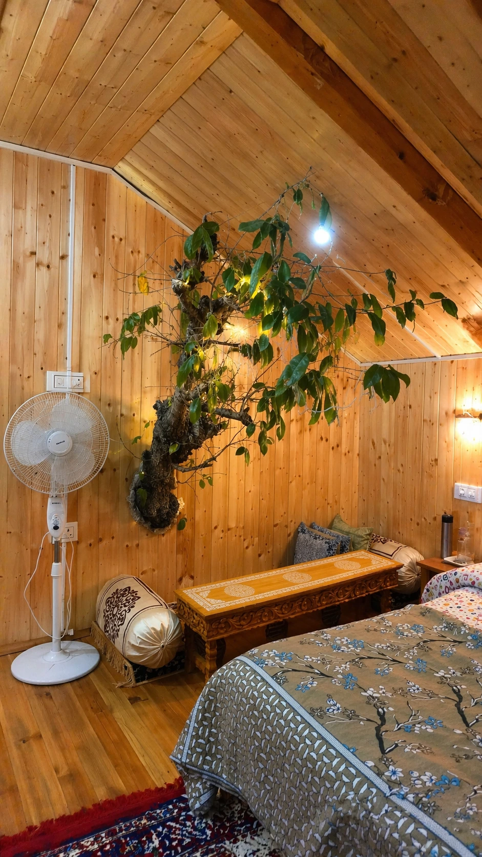 sukoon treehouse images 