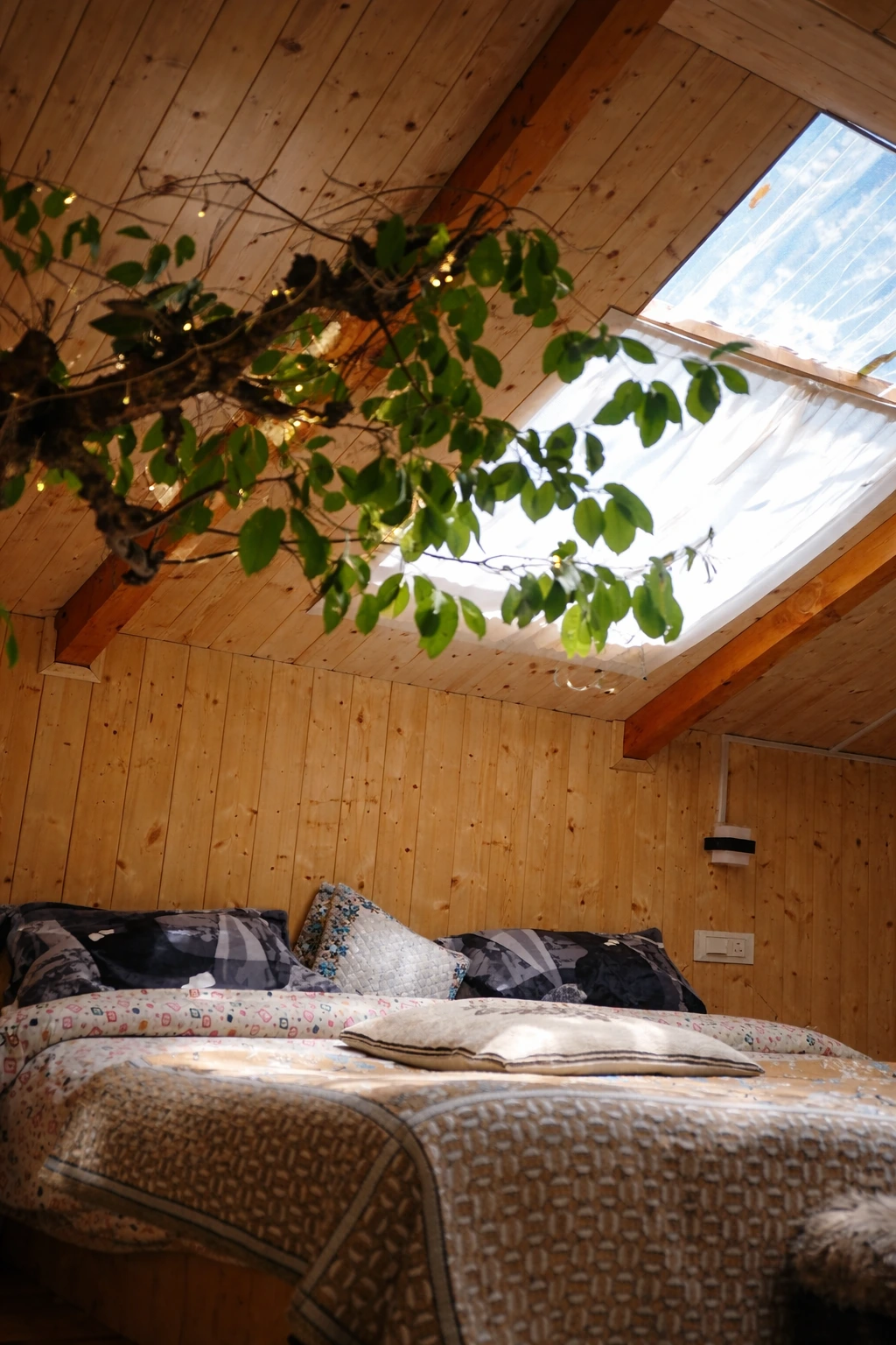 sukoon treehouse images 