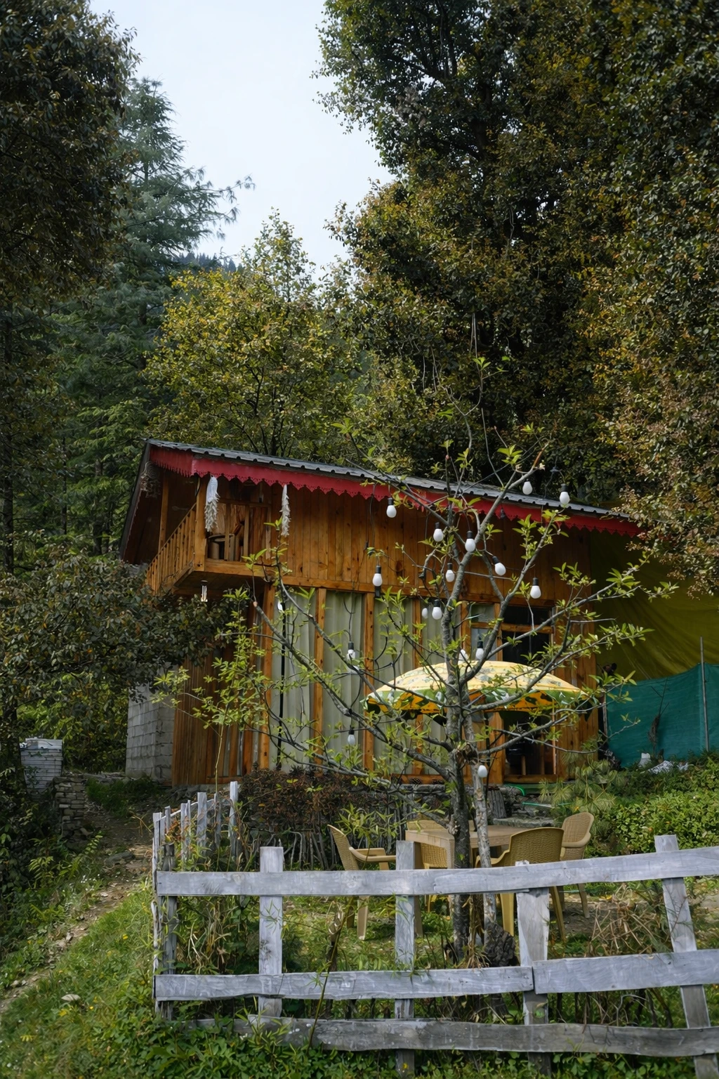 sukoon treehouse images 