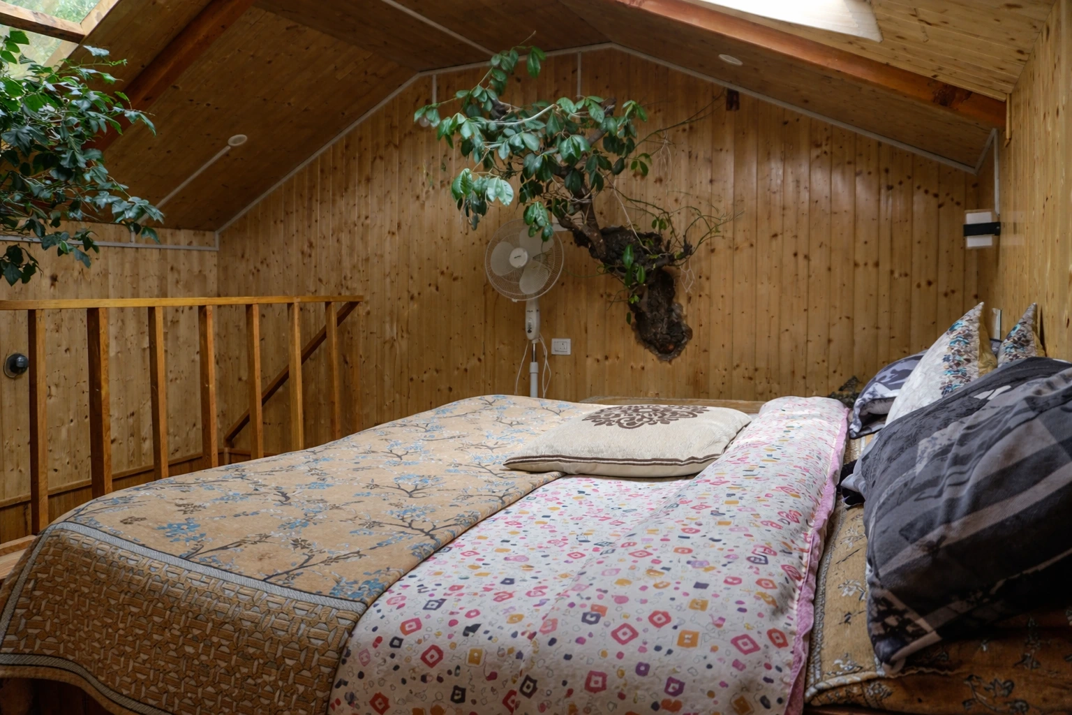 sukoon treehouse images 